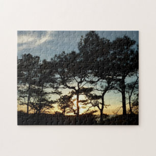 Puzzle Torrey Pine Sunset II Californie Paysage