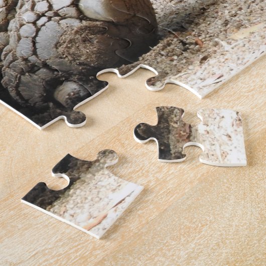 Puzzle Tortoise (Côté)