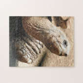 Puzzle Tortoise (Horizontal)