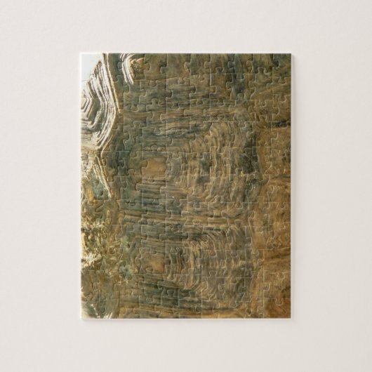 Puzzle Tortoise Shell Nature Photo (Vertical)