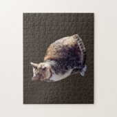 Puzzle Tortoiseshell (Vertical)