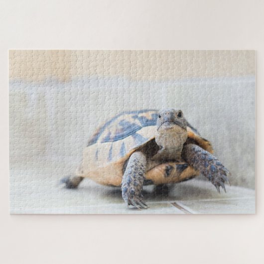 Puzzle Tortue (Horizontal)