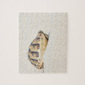 Puzzle Tortue (Vertical)