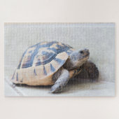 Puzzle Tortue (Horizontal)