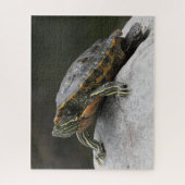 Puzzle Tortue (Vertical)