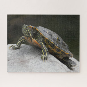 Puzzle Tortue