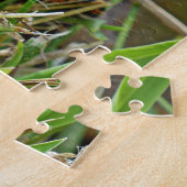 Puzzle Tortue (Côté)