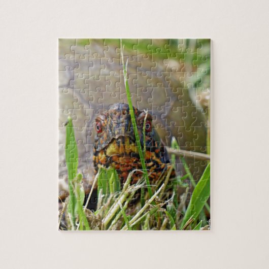 Puzzle Tortue (Vertical)