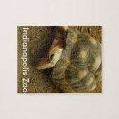 Puzzle Tortue au Zoo d'Indianapolis (Horizontal)