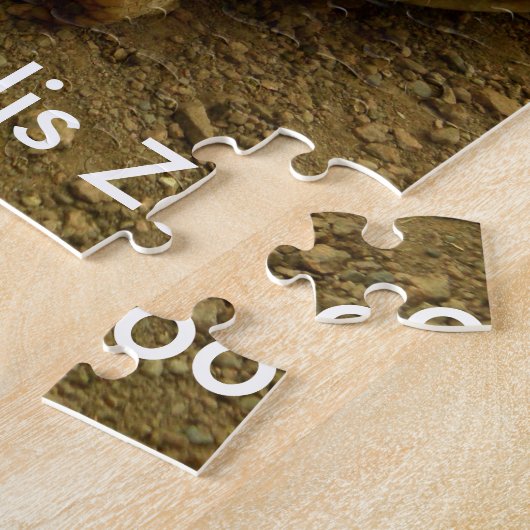 Puzzle Tortue au Zoo d'Indianapolis (Côté)