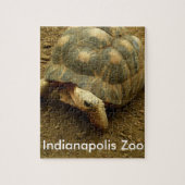 Puzzle Tortue au Zoo d'Indianapolis (Vertical)