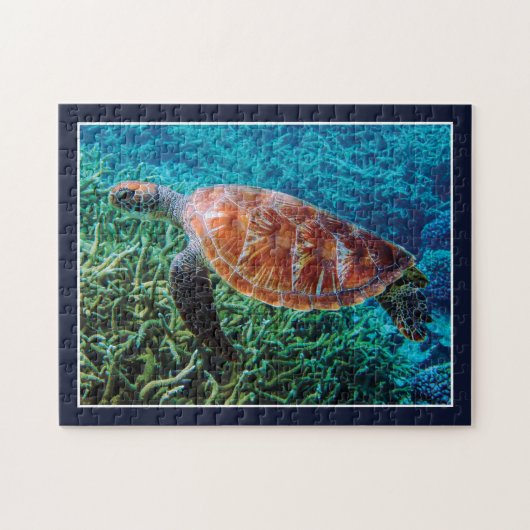 Puzzle Tortue Créature Marine Océan Faune (Horizontal)