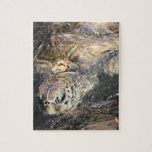 Puzzle Tortue de mer adulte (Vertical)