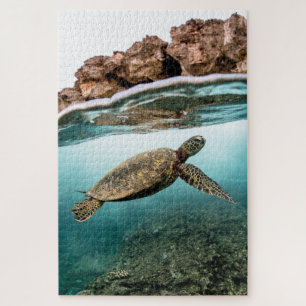 Puzzle Tortue de mer nageant et rochers