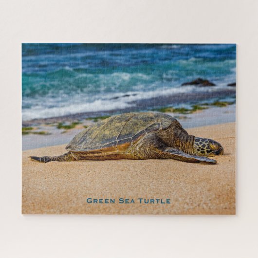 Puzzle Tortue de mer verte (Horizontal)