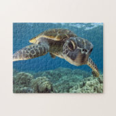 Puzzle Tortue de mer verte hawaïenne (Horizontal)