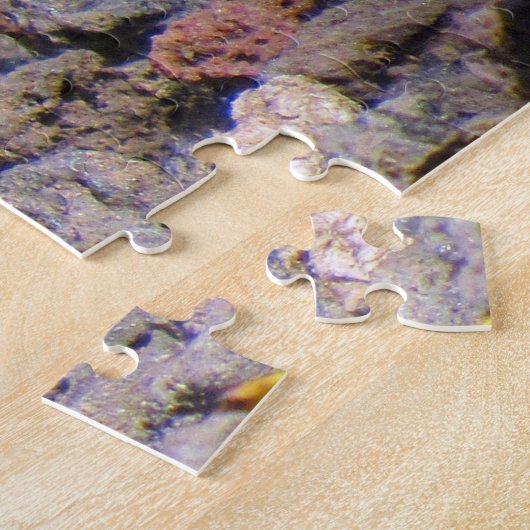 Puzzle tortue des bébés galapagos (Côté)