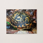 Puzzle Tortue en Forêt, Chester, Caroline du Sud (Horizontal)