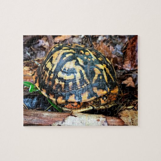 Puzzle Tortue en Forêt, Chester, Caroline du Sud (Horizontal)