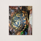 Puzzle Tortue en Forêt, Chester, Caroline du Sud (Vertical)