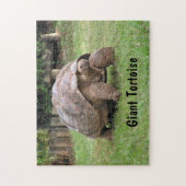 Puzzle Tortue géante (Vertical)