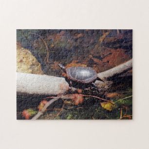 Puzzle Tortue heureuse