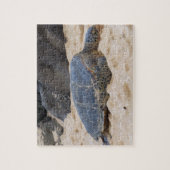 Puzzle Tortue marine hawaïenne (Vertical)