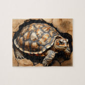 Puzzle Tortue noire africaine (Horizontal)
