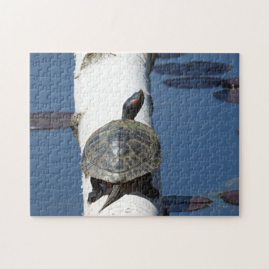 Puzzle Tortue peinte de l'Est assise sur bouleau (Horizontal)