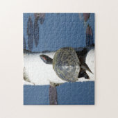 Puzzle Tortue peinte de l'Est assise sur bouleau (Vertical)