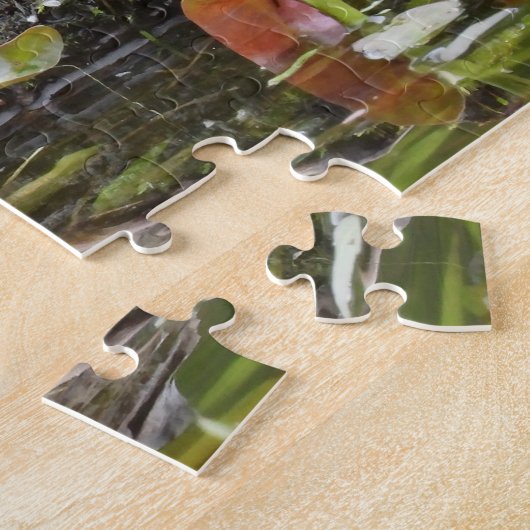 Puzzle Tortue peinte lors de l'ouverture de session dans (Côté)