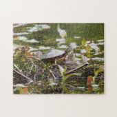 Puzzle Tortue peinte lors de l'ouverture de session dans (Horizontal)