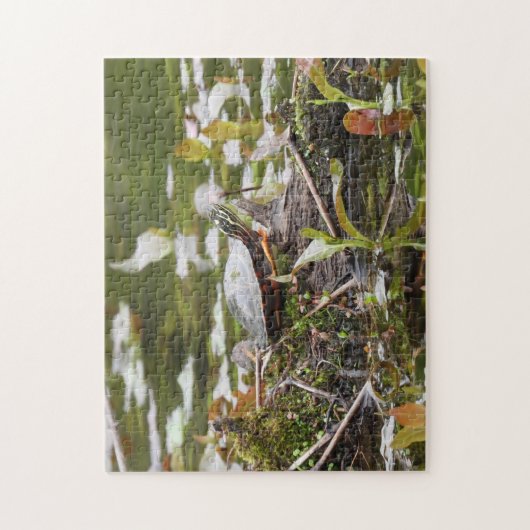 Puzzle Tortue peinte lors de l'ouverture de session dans  (Vertical)