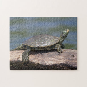 Puzzle Tortue peinte par jour ensoleillé