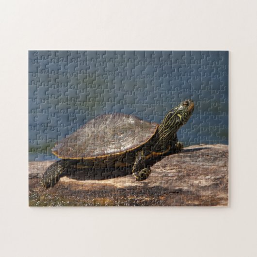 Puzzle Tortue peinte sur un bûcher (Horizontal)