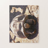 Puzzle Tortue stimulée africaine (Vertical)