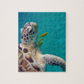 Puzzle Tortue tropicale moderne (Vertical)
