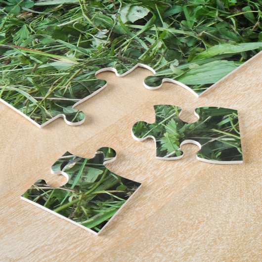 Puzzle Tortues (Côté)