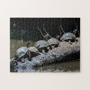 Puzzle Tortues au Parc national de Tortuguero - Costa Ric