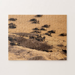 Puzzle Tortues de mer