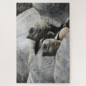 Puzzle tortues galapagos (Vertical)