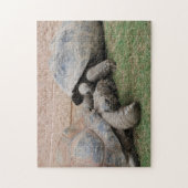 Puzzle tortues géantes (Vertical)