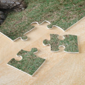 Puzzle tortues géantes (Côté)