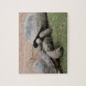 Puzzle tortues géantes (Vertical)