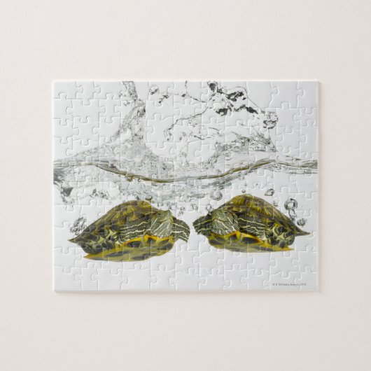 Puzzle Tortues rouges (Horizontal)