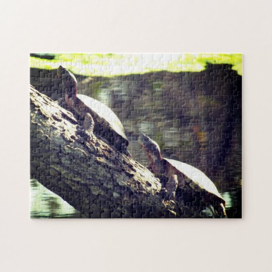 Puzzle - Tortues sur un journal (Horizontal)