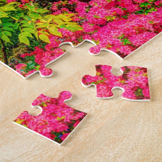 Puzzle Totem Pole Alaska. (Côté)