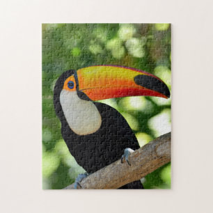 Puzzle Toucan