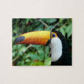 Puzzle Toucan à bec jaune (Horizontal)