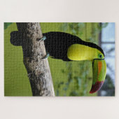 Puzzle Toucan noir et vert sur branche d'arbre (Horizontal)